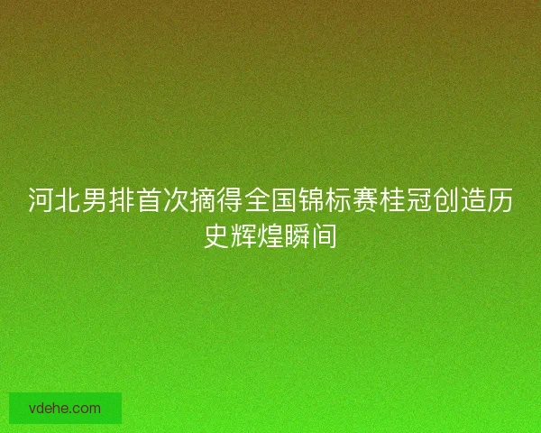 河北男排首次摘得全国锦标赛桂冠创造历史辉煌瞬间